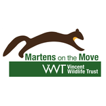 Vincent Wildlife Trust - Martens on the Move